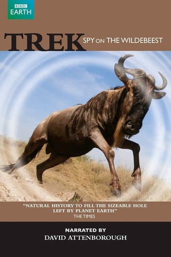 Trek: Spy on the Wildebeest (2007) poster