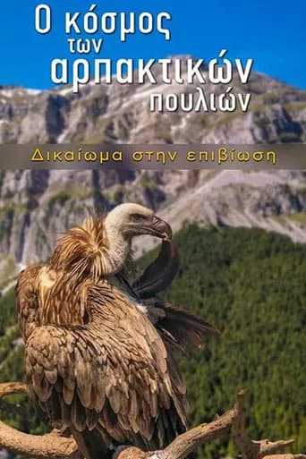 The World of Birds of Prey – Right to Survival (2024) poster