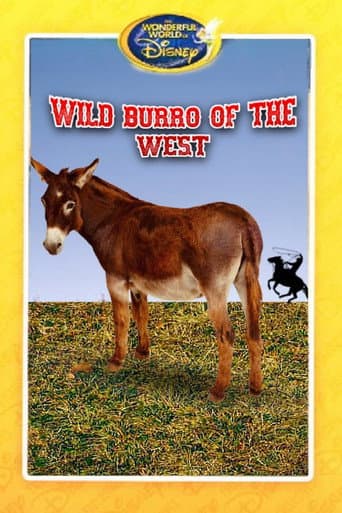 Wild Burro of the West (1960) poster