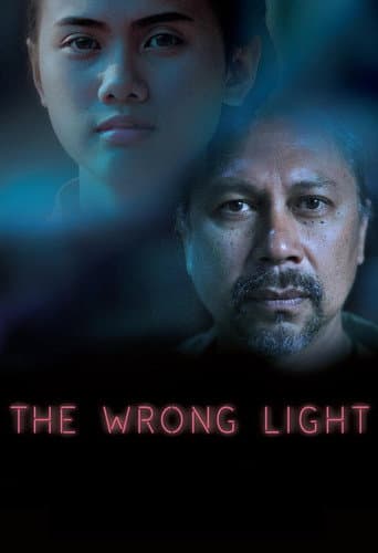 The Wrong Light (2017) poster