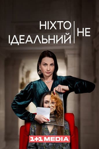 Nobody Is Perfect (2024) poster