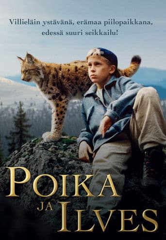 Tommy and the Wildcat (1998) poster