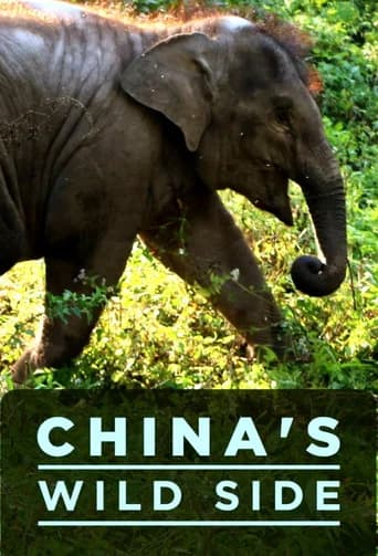 China's Wild Side (2017) poster