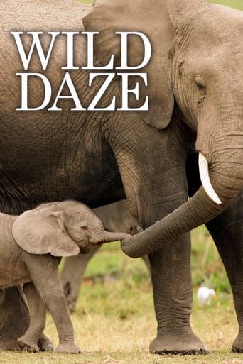 Wild Daze (2020) poster