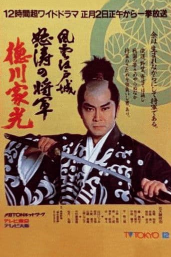 Crisis at Edo Castle - Angry Shogun Tokugawa Iemitsu (1987) poster