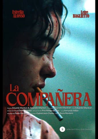 The Classmate (2024) poster