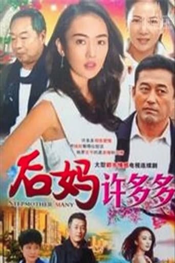 后妈许多多 (2016) poster