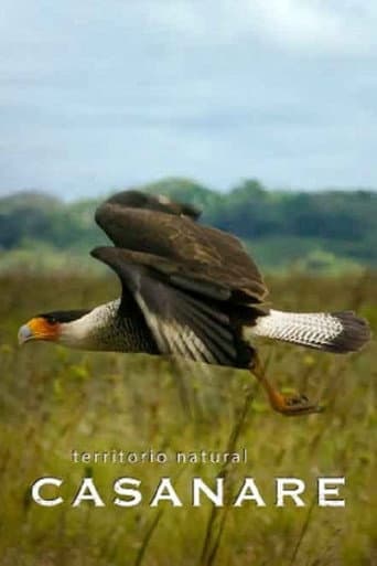 Territorio natural Casanare (2021) poster