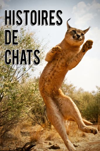 The Story of Cats (2016) poster