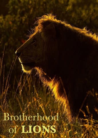 Brotherhood of Lions (2024) poster
