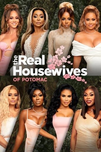 The Real Housewives of Potomac (2016) poster