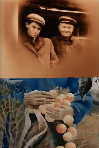 In the White Cold, the Sun of Ukraine (1992) poster