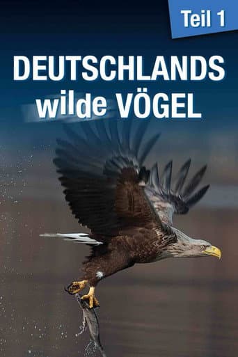 Deutschlands wilde Vögel (2013) poster