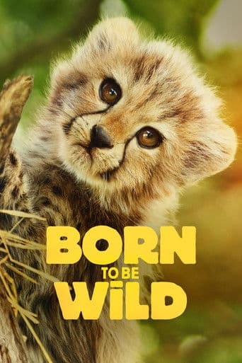 Born to Be Wild (2025) poster