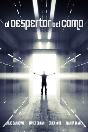 Waking Up From the Coma (2015) poster