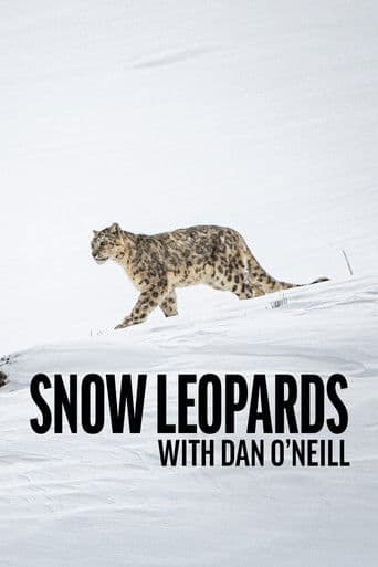 Snow Leopards with Dan O'Neill (2025) poster