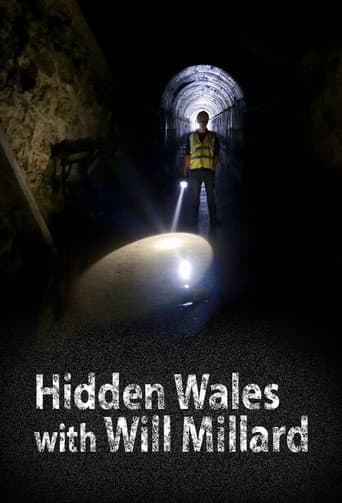 Hidden Wales with Will Millard (2018) poster