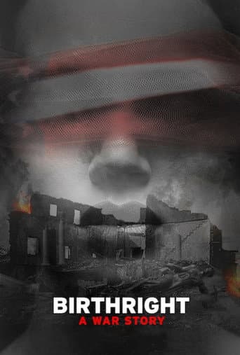 Birthright: A War Story (2017) poster