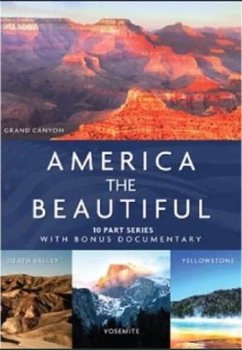 America the Beautiful (2014) poster