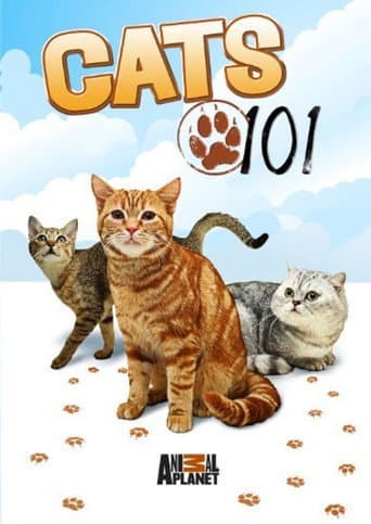 Cats 101 (2008) poster