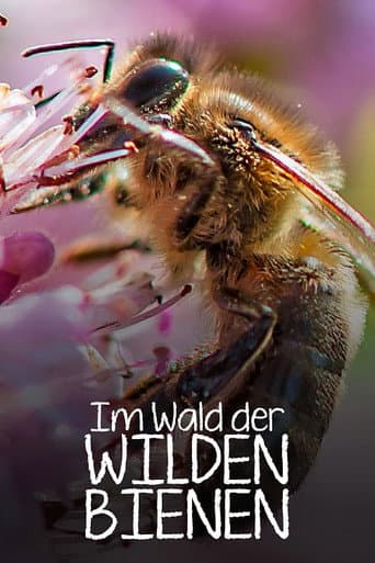 Im Wald der wilden Bienen (2022) poster
