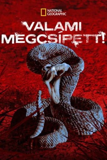 I Was Bitten (2008) poster