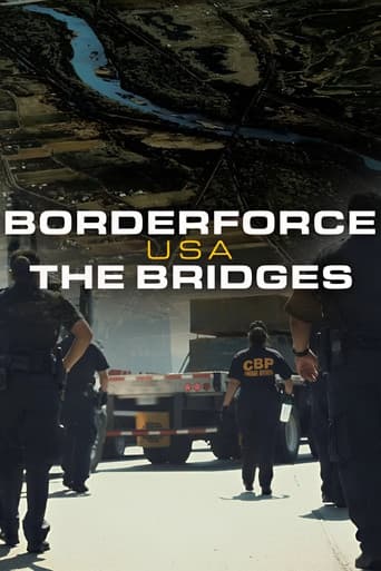 Borderforce USA: The Bridges (2019) poster