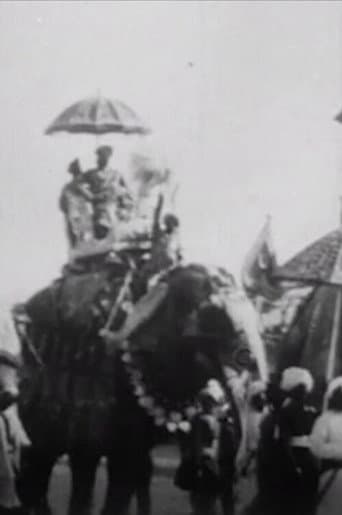Procession of Elephants with Howdahs - India (1905) poster