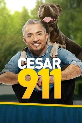 Cesar 911 (2014) poster