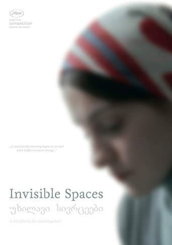 Invisible Spaces (2014) poster