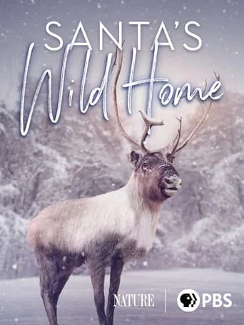Santa's Wild Home (2020) poster