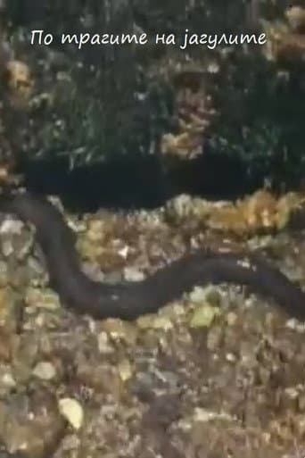 Following the Traces of the Eels (1958) poster