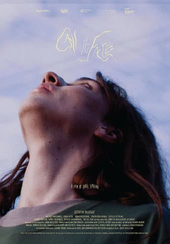 Call it Fate (2025) poster