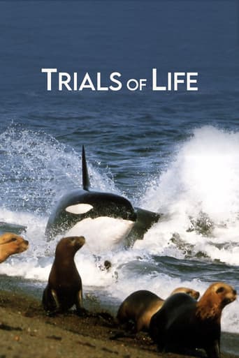 Trials of Life (1990) poster