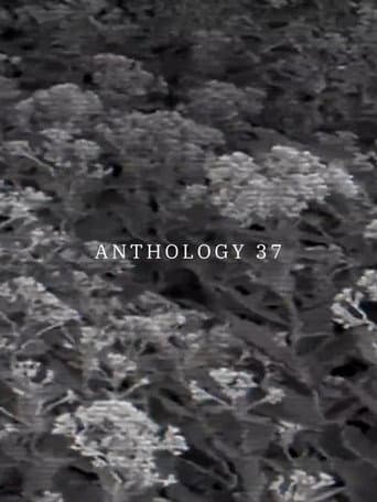 Anthology 37 poster