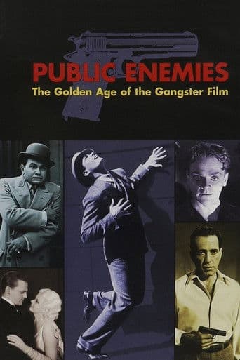Public Enemies: The Golden Age of the Gangster Film (2008) poster