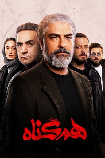 The Accomplice (2020) poster