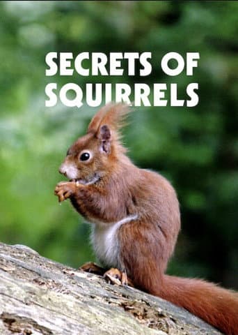 Secrets of Squirrels (2018) poster