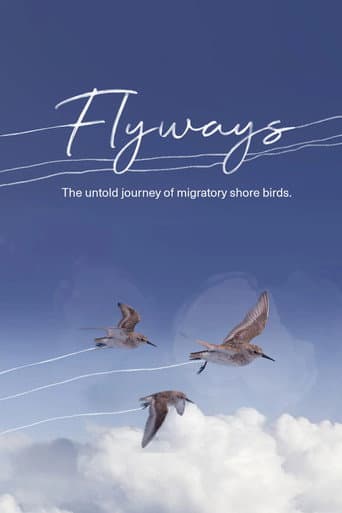 Flyways: The Untold Journey of Migratory Shorebirds (2023) poster