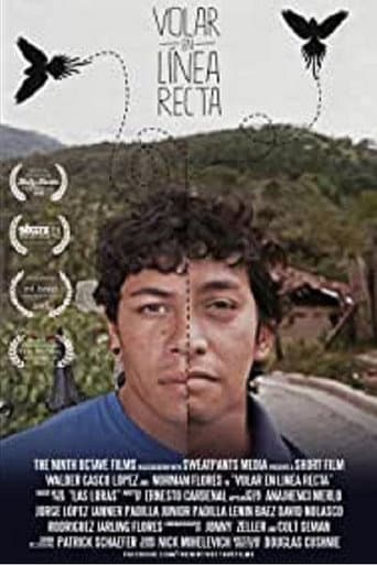 To Fly in a Straight Line (2013) poster