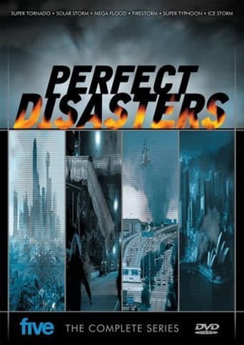 Perfect Disaster (2006) poster