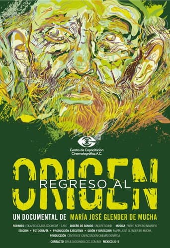Back to the Origin (2017) poster