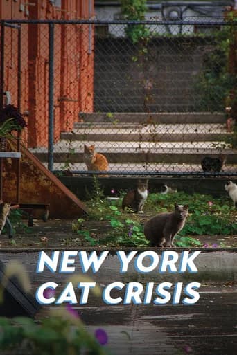 New York Cat Crisis poster