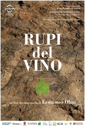 Wine Cliffs (2009) poster