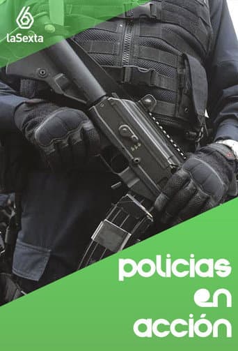 Policías en acción (2013) poster
