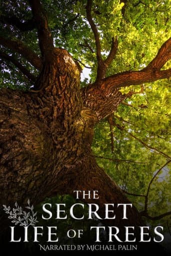 The Secret Life of Trees (2025) poster