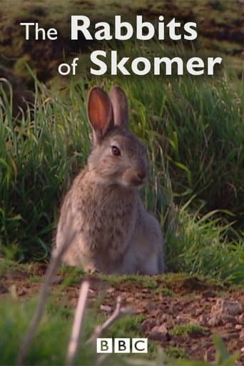The Rabbits of Skomer (2006) poster