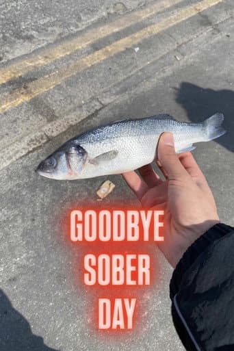 Goodbye Sober Day (2026) poster