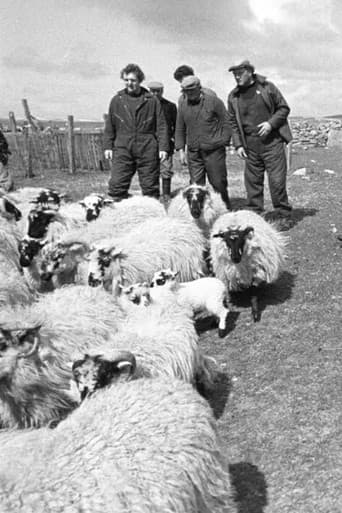 The Shepherds of Berneray (1981) poster