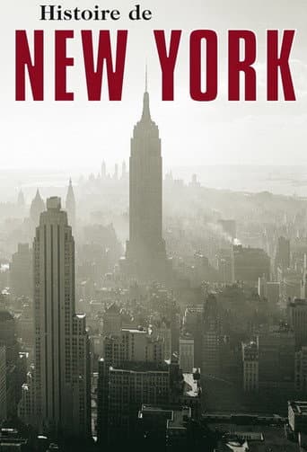L'Histoire de New-York (2007) poster